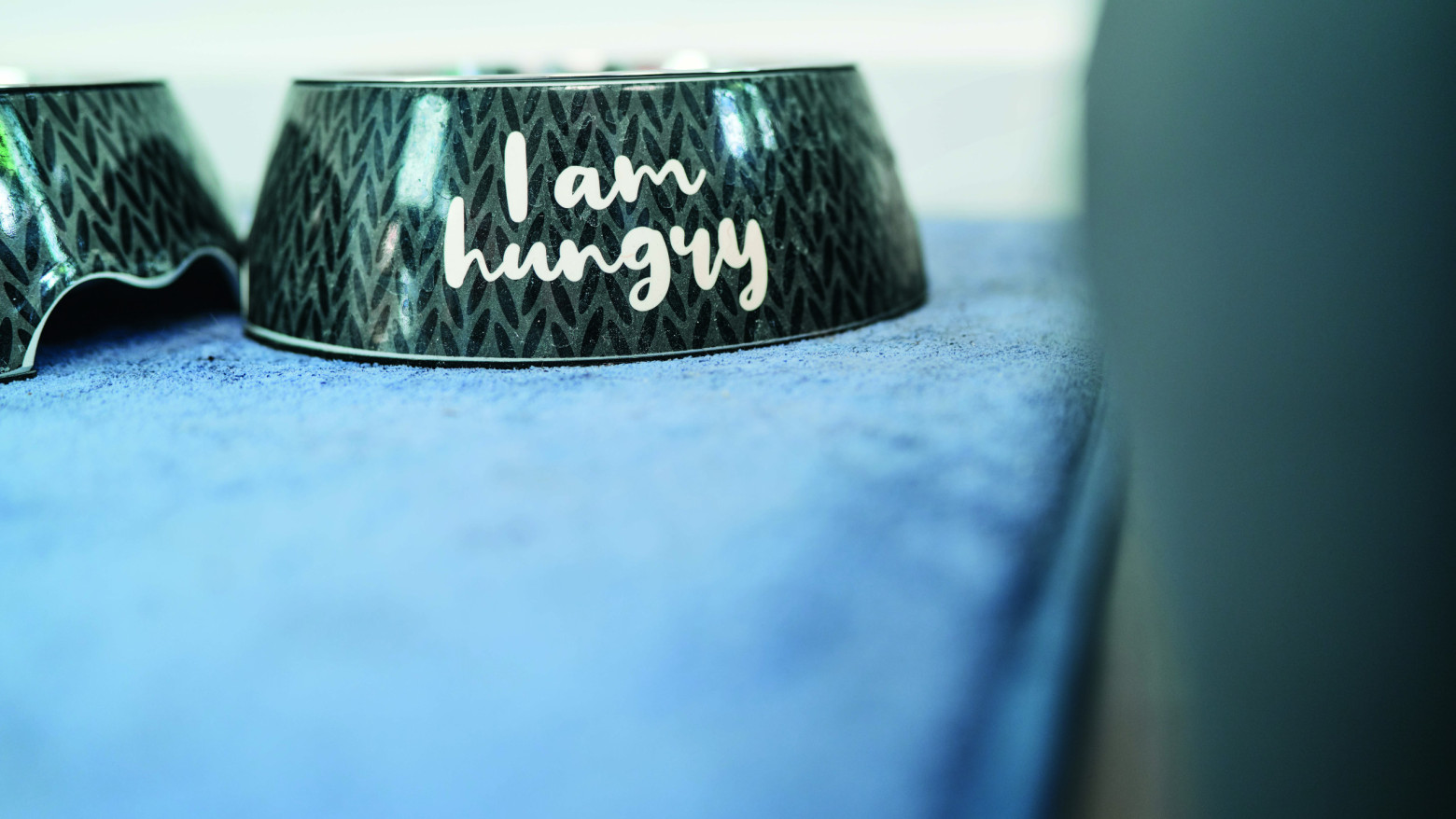 magalog highres DSC08008 243 hsw