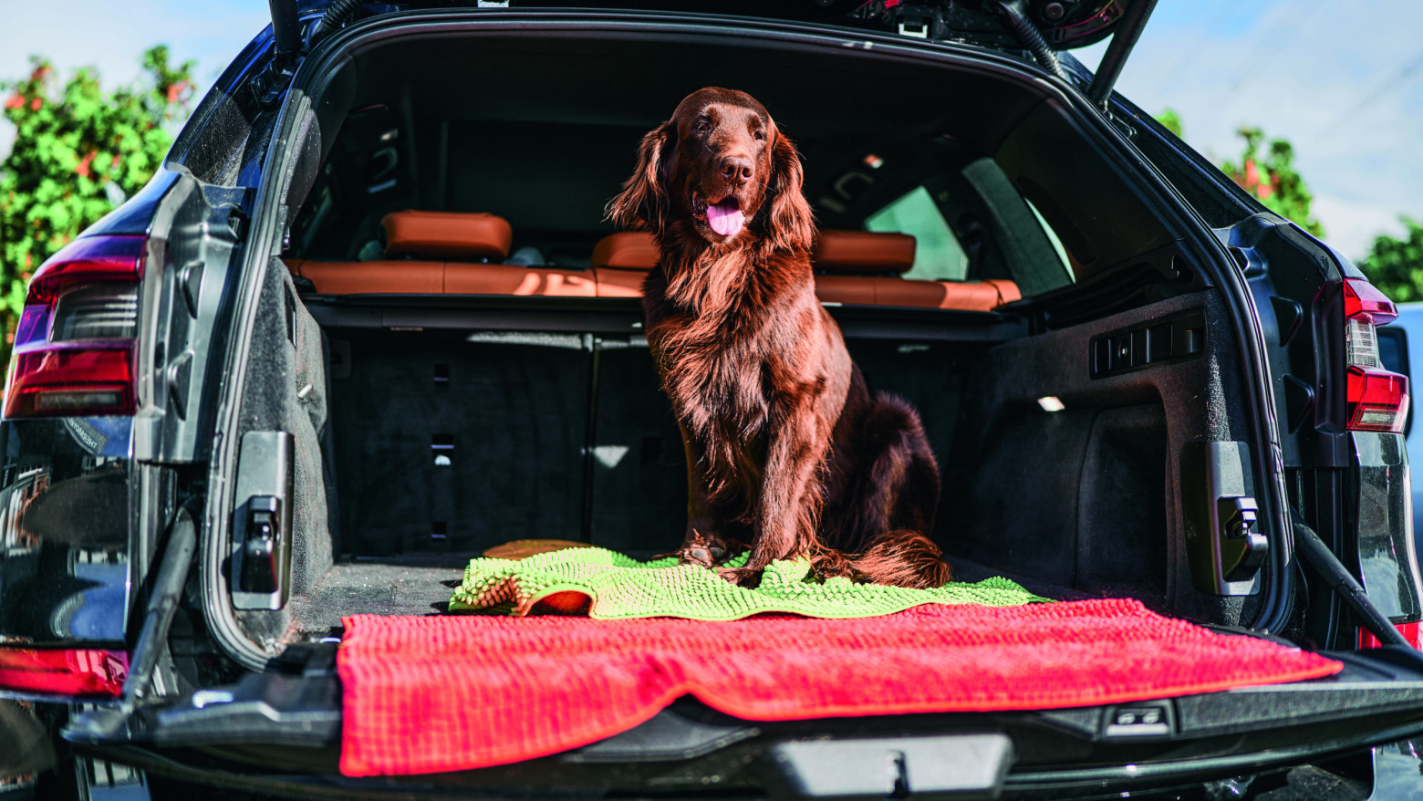 magalog highres DSC08061 251 hsw