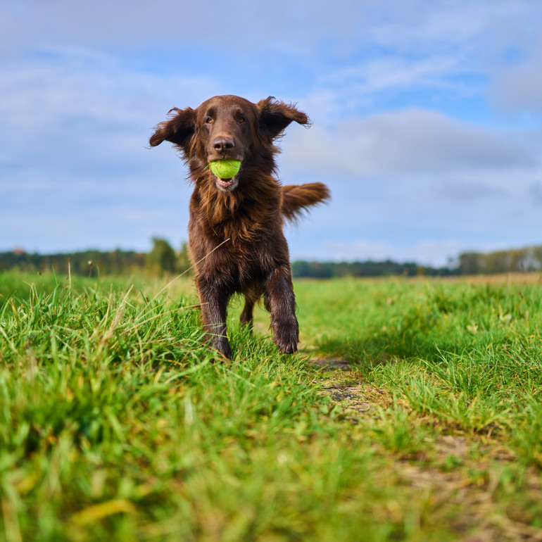 magalog highres DSC08390 282